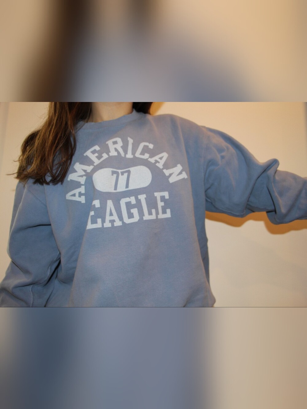 American Eagle Blue Sweatshirt